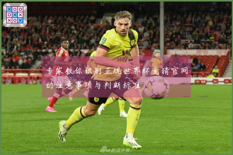 专家教你识别正规世界杯竞猜官网的注意事项与判断标准