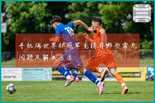 手机端世界杯冠军竞猜有哪些常见问题及解决方法
