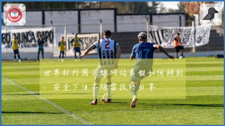 世界杯外围买球网站真假如何辨别，安全下注不踩雷技巧分享