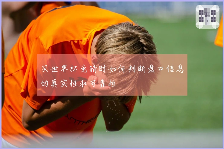 买世界杯竞猜时如何判断盘口信息的真实性和可靠性