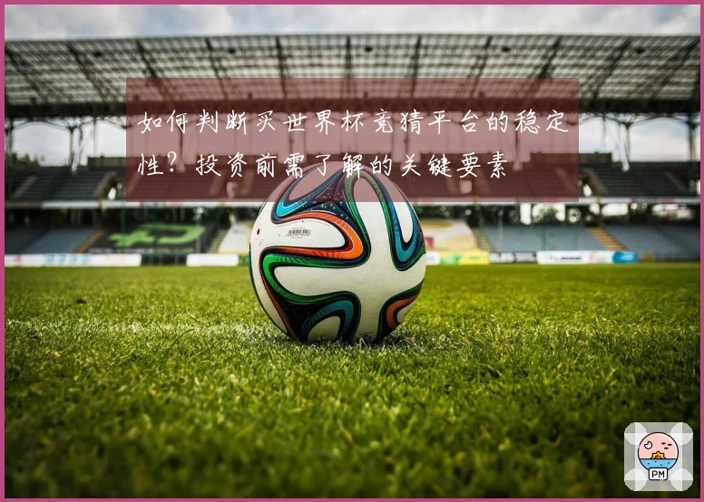 如何判断买世界杯竞猜平台的稳定性？投资前需了解的关键要素