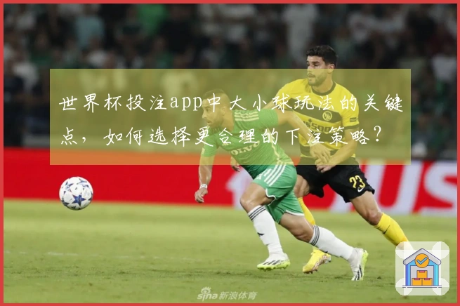 世界杯投注app中大小球玩法的关键点，如何选择更合理的下注策略？