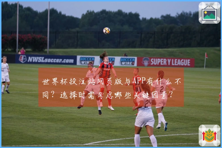 世界杯投注站网页版与APP有什么不同？选择时需考虑哪些关键因素？