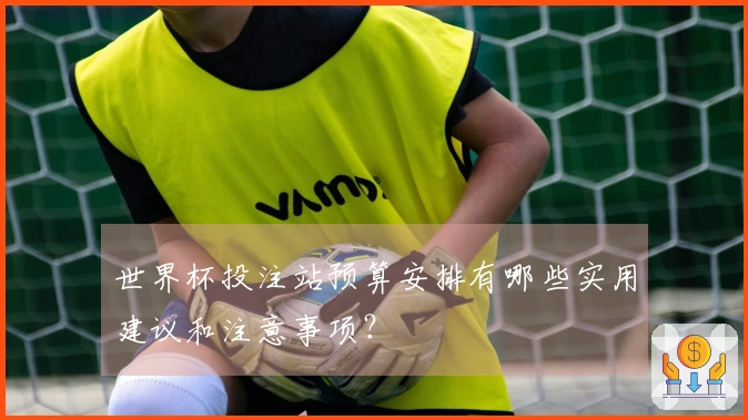 世界杯投注站预算安排有哪些实用建议和注意事项？