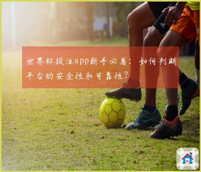 世界杯投注app新手必看：如何判断平台的安全性和可靠性？