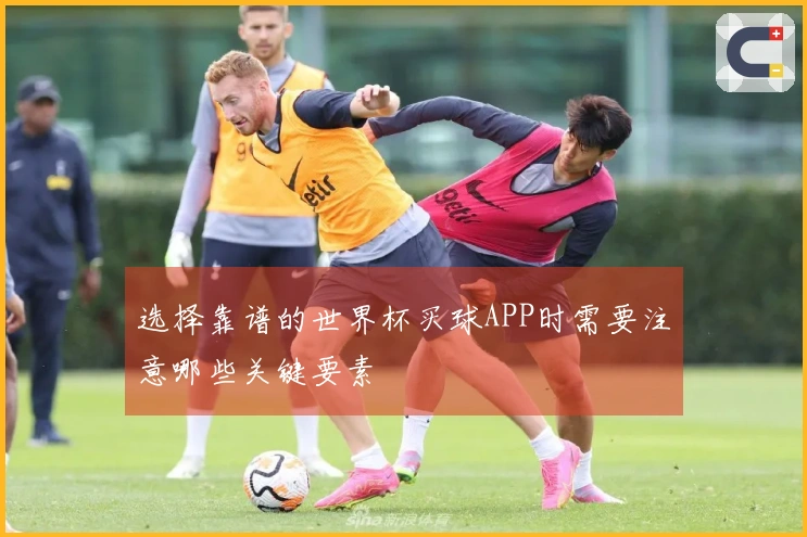 选择靠谱的世界杯买球APP时需要注意哪些关键要素