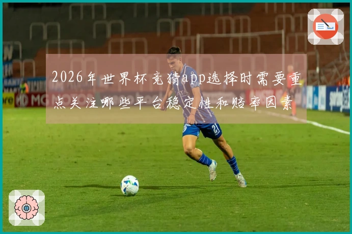 2026年世界杯竞猜app选择时需要重点关注哪些平台稳定性和赔率因素