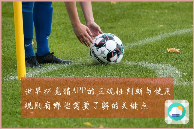 世界杯竞猜APP的正规性判断与使用规则有哪些需要了解的关键点