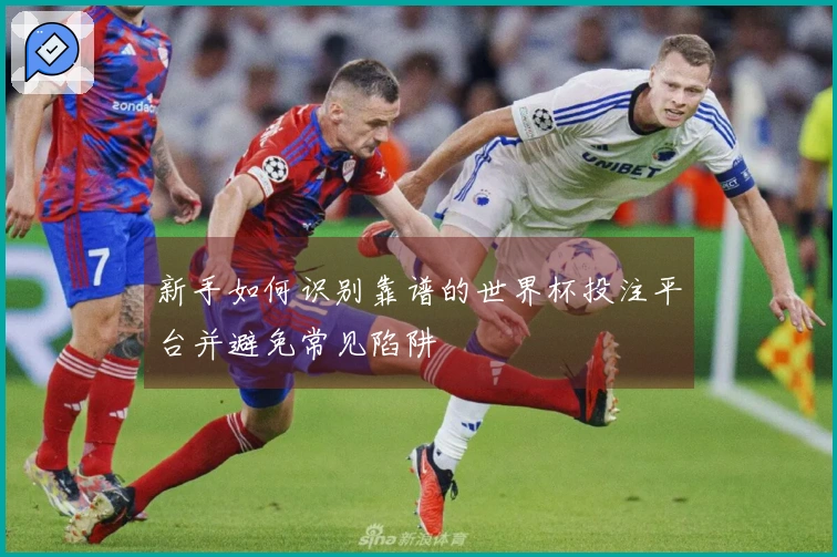 新手如何识别靠谱的世界杯投注平台并避免常见陷阱