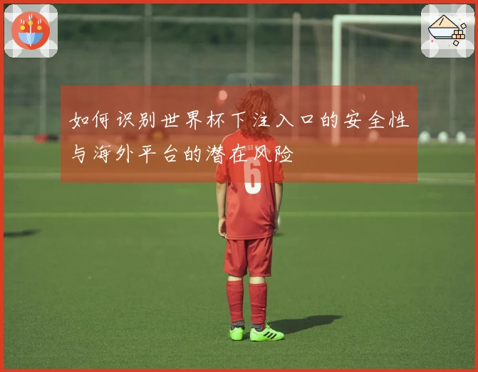 如何识别世界杯下注入口的安全性与海外平台的潜在风险