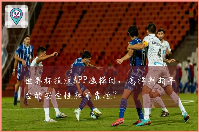 世界杯投注APP选择时，怎样判断平台的安全性和可靠性？