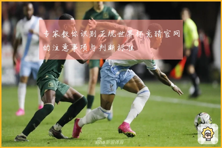 专家教你识别正规世界杯竞猜官网的注意事项与判断标准