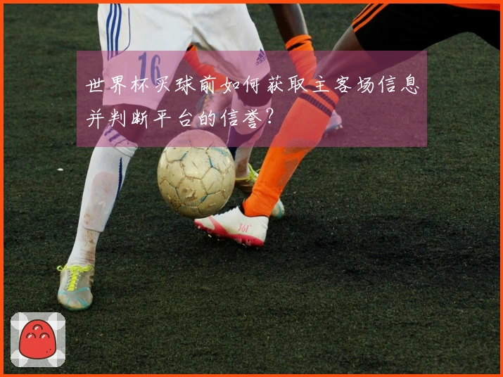 世界杯买球前如何获取主客场信息并判断平台的信誉？