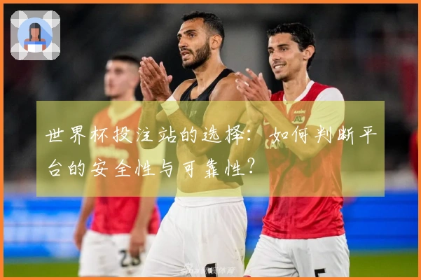 世界杯投注站的选择：如何判断平台的安全性与可靠性？
