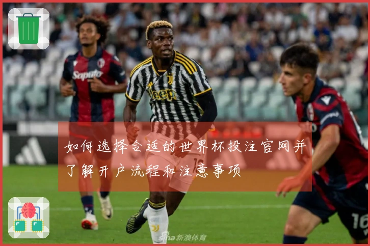 如何选择合适的世界杯投注官网并了解开户流程和注意事项