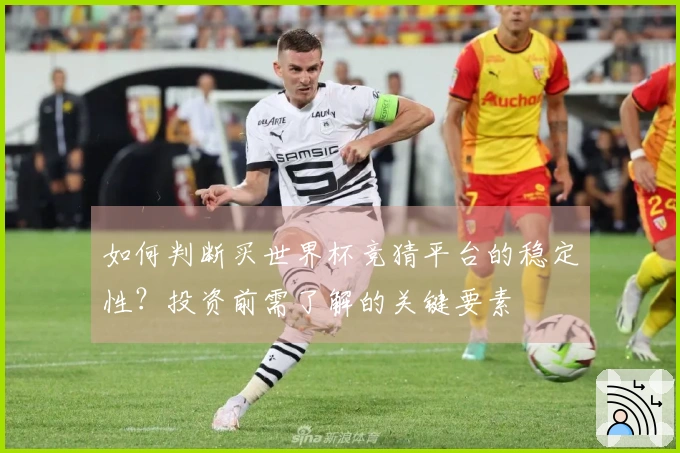 如何判断买世界杯竞猜平台的稳定性？投资前需了解的关键要素