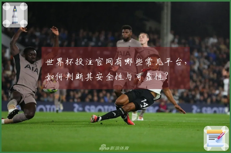 世界杯投注官网有哪些常见平台，如何判断其安全性与可靠性？