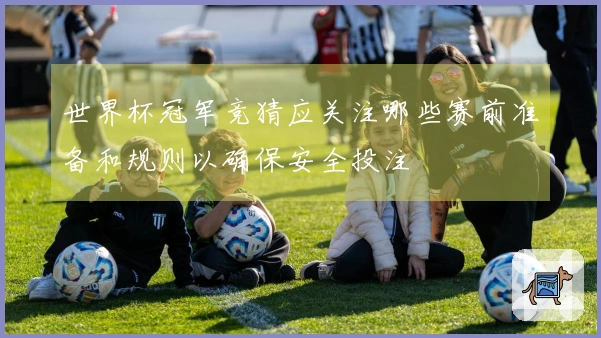 世界杯冠军竞猜应关注哪些赛前准备和规则以确保安全投注