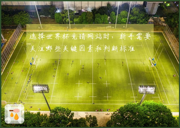 选择世界杯竞猜网站时,新手需要关注哪些关键因素和判断标准