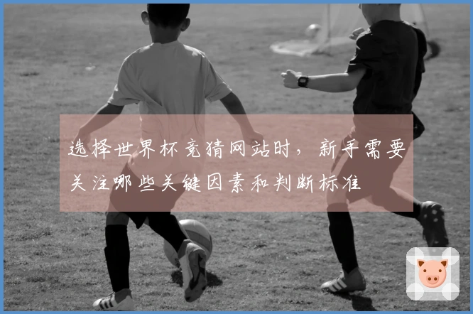 选择世界杯竞猜网站时，新手需要关注哪些关键因素和判断标准