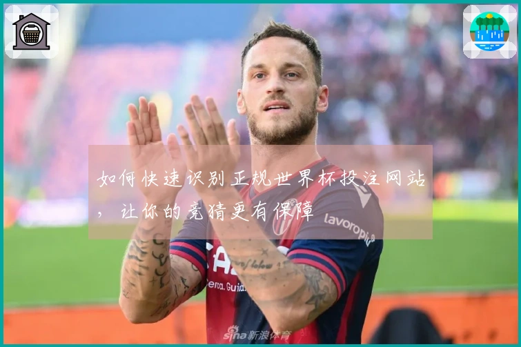 如何快速识别正规世界杯投注网站，让你的竞猜更有保障