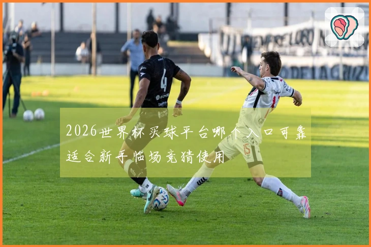 2026世界杯买球平台哪个入口可靠适合新手临场竞猜使用